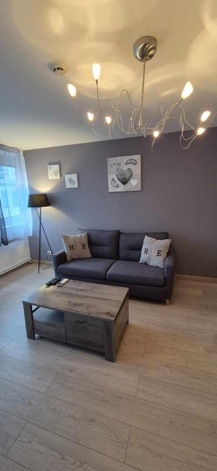 Nouveau !! Appartement Confortable Totalement Renove Avec Parking Gratuit - Hypercentre De Nancy Esterno foto