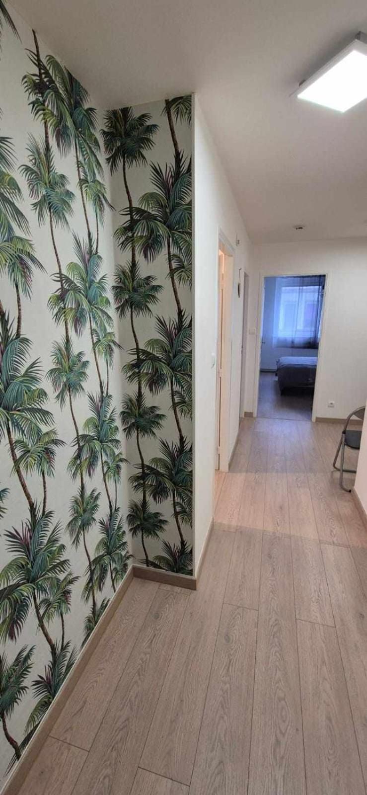 Nouveau !! Appartement Confortable Totalement Renove Avec Parking Gratuit - Hypercentre De Nancy Esterno foto